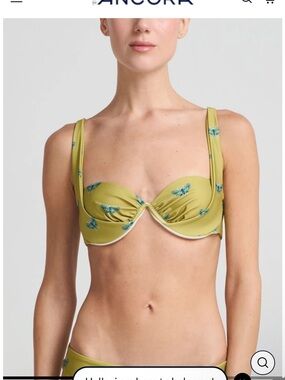 ANCORA Olive Green Embroidered Bikini Set